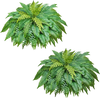 VEVOR Artificial Ferns, 48 Inch Fake Boston Fern Bush Plant with 67 Fronds, Faux Greenery for Indoor/Outdoor Decor, Silk & LDPE, Suitable for Home Porch Garden Office Living Room Planter, Set of 2