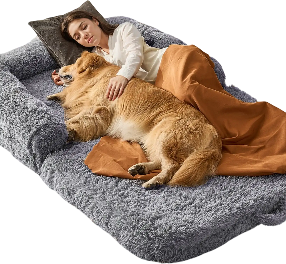 VEVOR Human Dog Bed, 72" x48"x10" Giant Human Dog Bed for Adults and Pets, Human Size Dog Bed with Washable PV Velvet Cover, Egg Orthopedic Foam, Storage Pocket, for You and Pet, Grey
