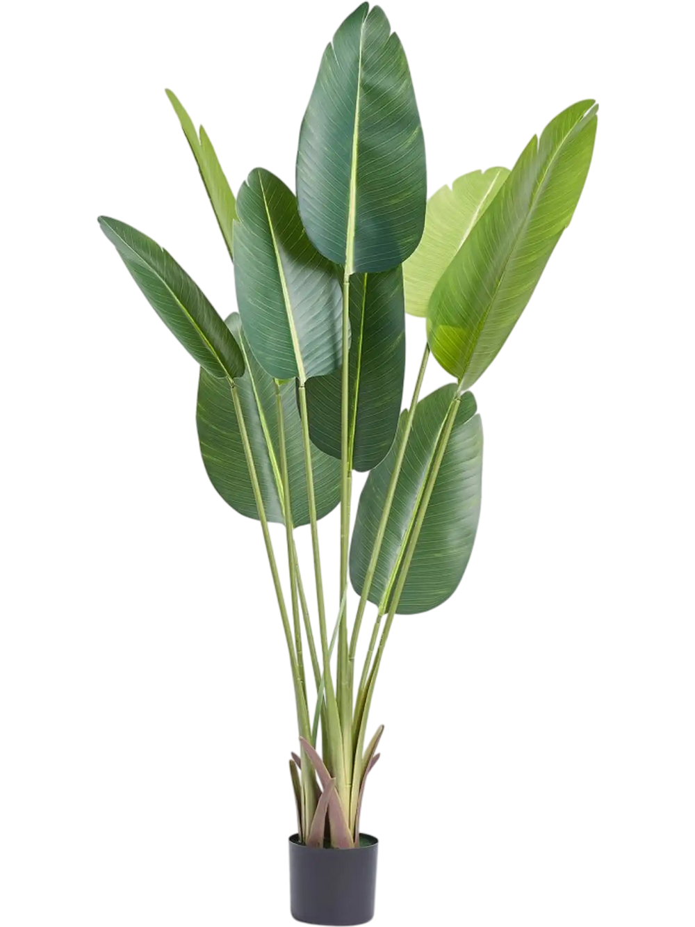 VEVOR Artificial Birds Of Paradise Tree, 5 FT Tall Faux Plant, PE Material & Anti-Tip Tilt Protection Low-Maintenance Plant, Lifelike Green Fake Tree for Home Office Warehouse Decor Indoor Outdoor