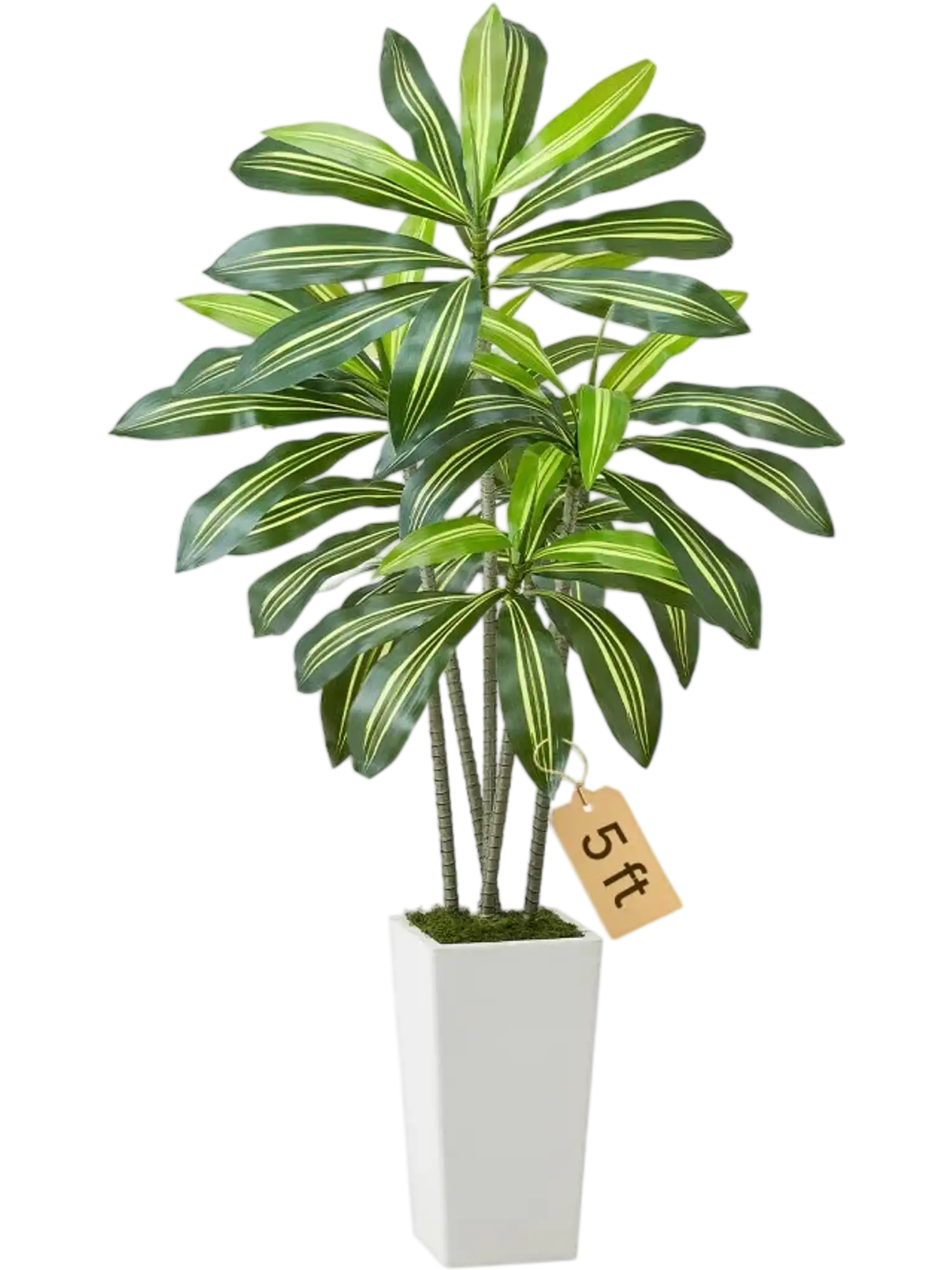 Vevor Artificial Dracaena Tree 5' Faux Floor Plant with White Planter New