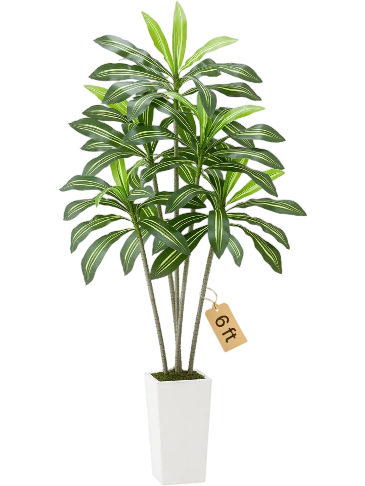 Vevor Artificial Dracaena Tree 6' Faux Tropical Plant with White Planter New