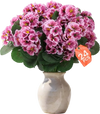 VEVOR Artificial Flowers Bulk Geraniums 24 PCS Faux Pink Flower with Stems, for Vase, Centerpieces, Weddings, Parties, Bouquets, Home Decor and DIY Arrangements, Realistic Fake Flowers, Easy to Care