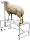 VEVOR Goat & Sheep Stand, 51x23 inch Livestock Stand, Metal Livestock Milking and Shearing Stand 21" to 33" Adjustable Height, with Headpiece and Nose Loop, 500lbs Loading Weight, White
