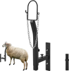 VEVOR Livestock Trimming Stand, Goat & Sheep Stand 9.37-12.8 inch Adjustable Height 0-5.4 inch Width, Metal Goat Milking and Shearing Stand Attachment Nose Loop Headpiece, Black