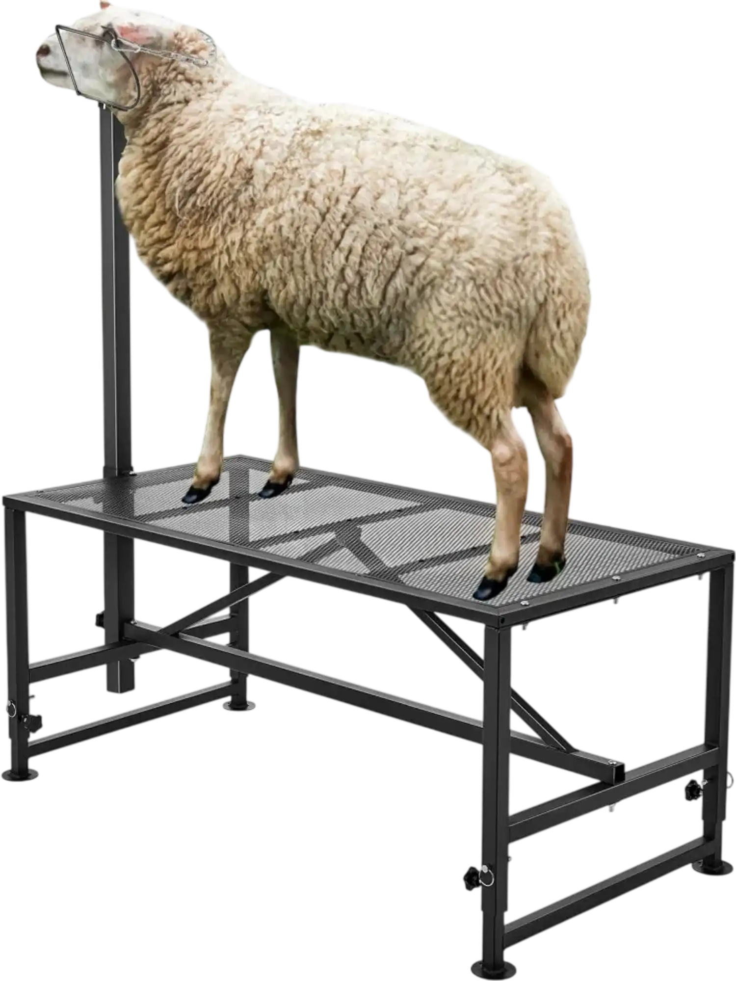 Vevor Livestock Stand Goat & Sheep Milking and Shearing Stand 51x23