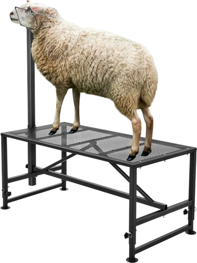 Vevor Livestock Stand Goat & Sheep Milking and Shearing Stand 51x23