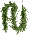 VEVOR Christmas Garland, 6-FT Realistic Norfolk Pine Garland, Evergreen Real Touch Artificial Faux Greenery Garlands, for Holiday Indoor Outdoor Xmas Decoration on Table, Mantel, and Fireplace