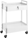VEVOR Lab Cart, 2 Tiers Stainless Steel Utility Cart, Medical Cart with 2 Drawers, Rolling Lab Cart White Paint, Serving Cart with Swivel Casters for Laboratory, Hospital, Dental, Salon and Beauty