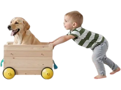 VEVOR Retractable Baby Gate, 34 inch Tall, Extends up to 110 inch Wide, Retractable Gate for Kids or Pets, Mesh Material, Easy to Install for Indoor Stairs, Doorways, Hallways, Playrooms, White