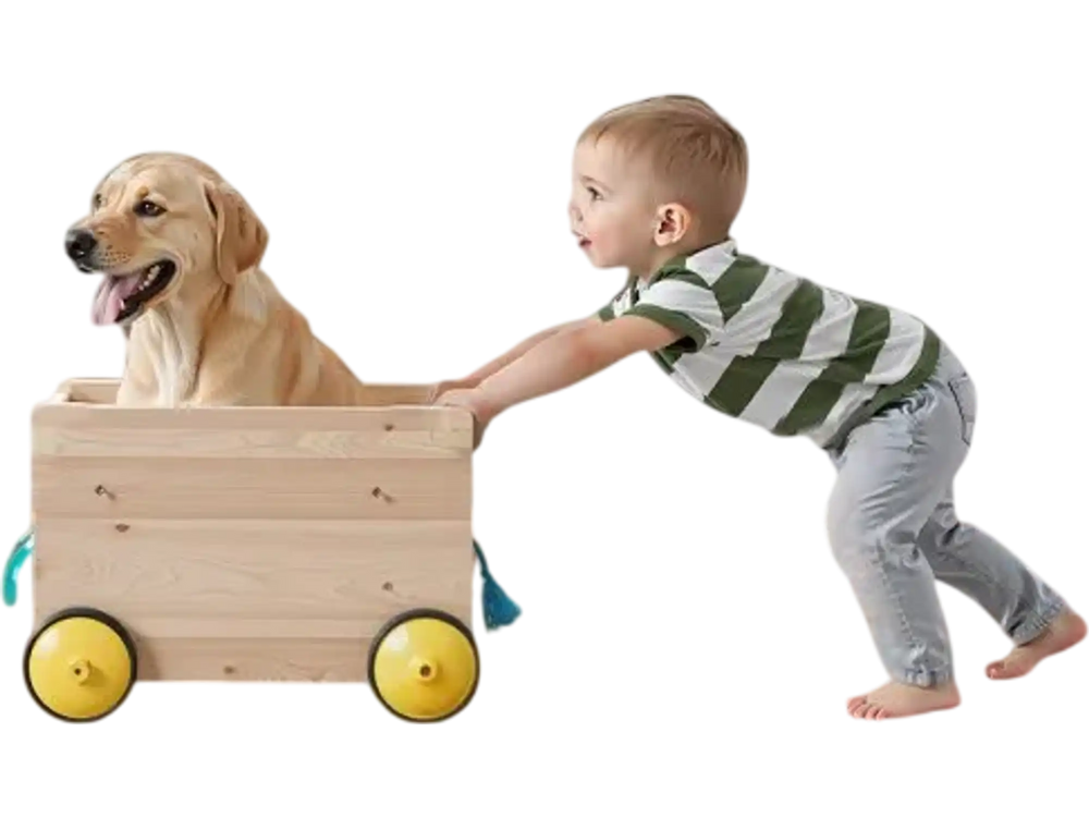 VEVOR Retractable Baby Gate, 34 inch Tall, Extends up to 71 inch Wide, Retractable Gate for Kids or Pets, Mesh Material, Easy to Install for Indoor Stairs, Doorways, Hallways, Playrooms, White