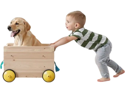 VEVOR Retractable Baby Gate, 34 inch Tall, Extends up to 71 inch Wide, Retractable Gate for Kids or Pets, Mesh Material, Easy to Install for Indoor Stairs, Doorways, Hallways, Playrooms, White