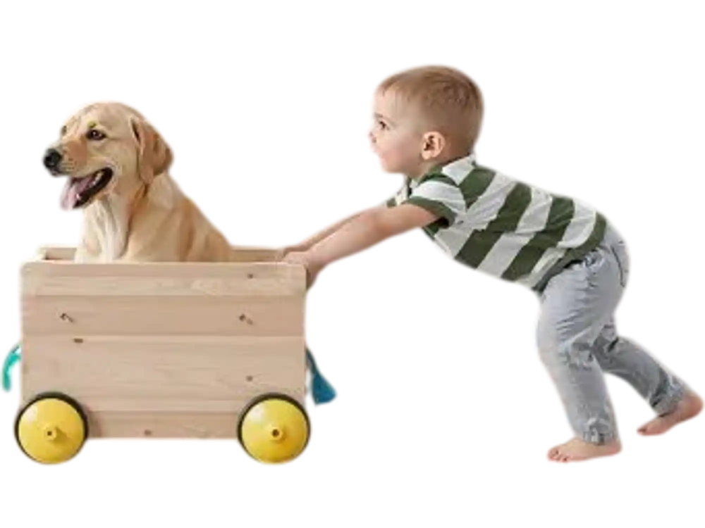 VEVOR Retractable Baby Gate, 34 inch Tall, Extends up to 110 inch Wide, Retractable Gate for Kids or Pets, Mesh Material, Easy to Install for Indoor Stairs, Doorways, Hallways, Playrooms, Gray
