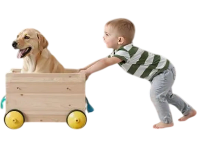 VEVOR Retractable Baby Gate, 34 inch Tall, Extends up to 110 inch Wide, Retractable Gate for Kids or Pets, Mesh Material, Easy to Install for Indoor Stairs, Doorways, Hallways, Playrooms, Gray