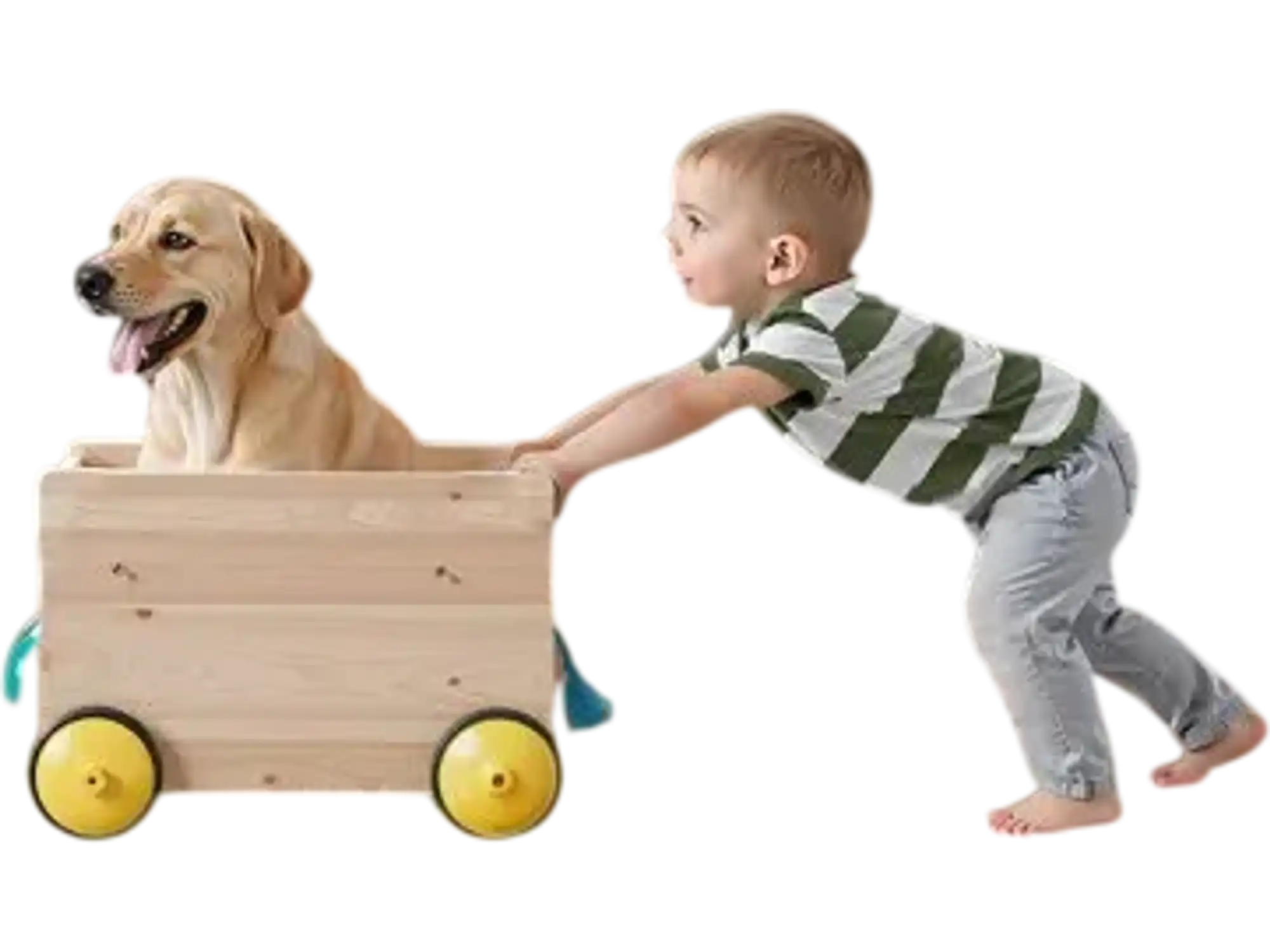 Vevor Baby Gate Retractable 34