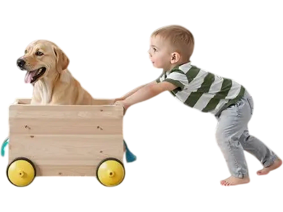 VEVOR Retractable Baby Gate, 34 inch Tall, Extends up to 110 inch Wide, Retractable Gate for Kids or Pets, Mesh Material, Easy to Install for Indoor Stairs, Doorways, Hallways, Playrooms, Black