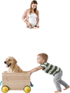 VEVOR Retractable Baby Gate, 34 inch Tall, Extends up to 55 inch Wide, Retractable Gate for Kids or Pets, Mesh Material, Easy to Install for Indoor Stairs, Doorways, Hallways, Playrooms, Gray