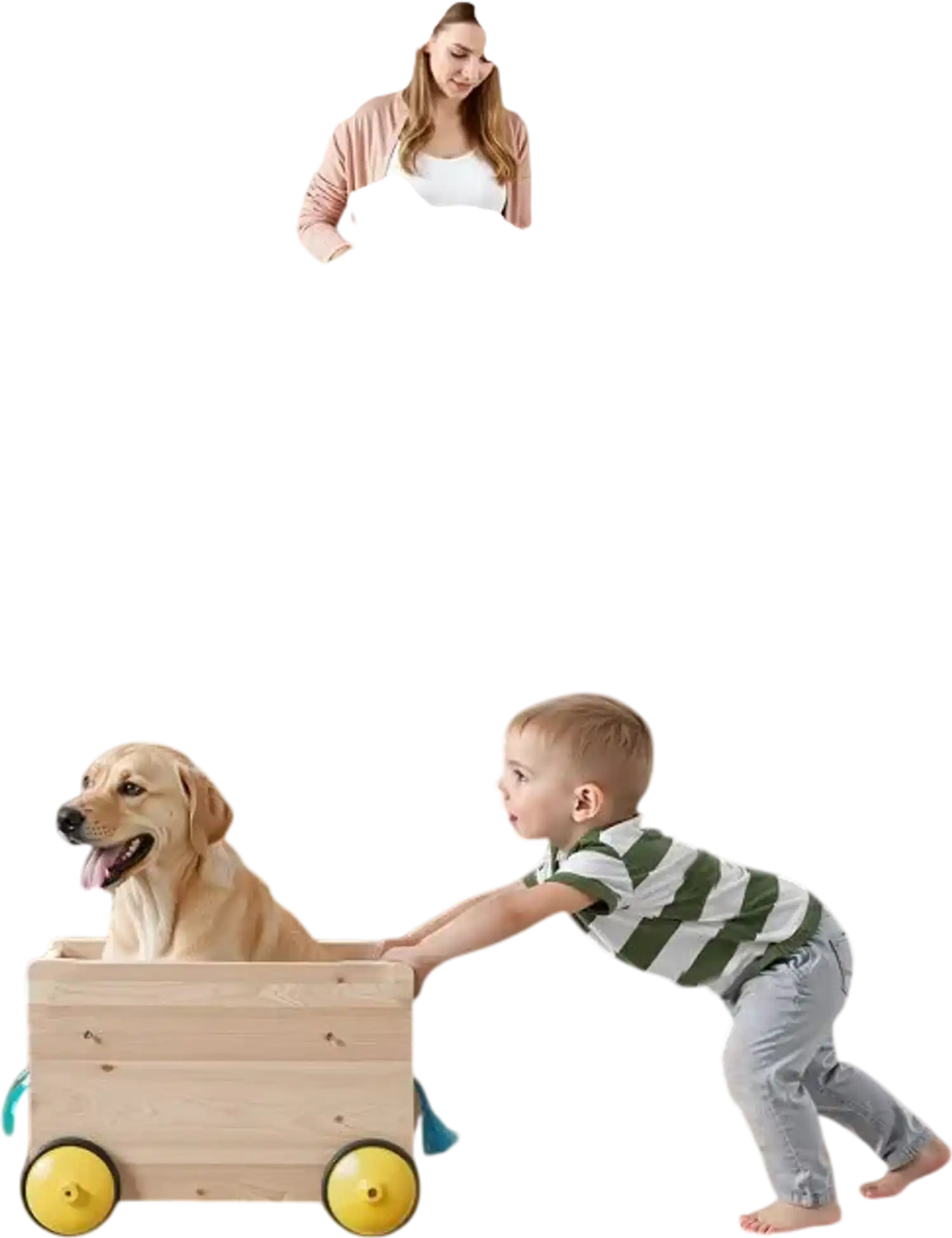 Vevor Retractable Baby Gate 34