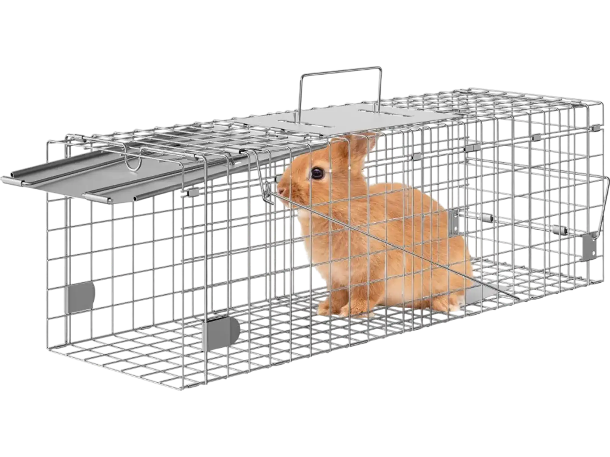 Vevor Animal Trap 24