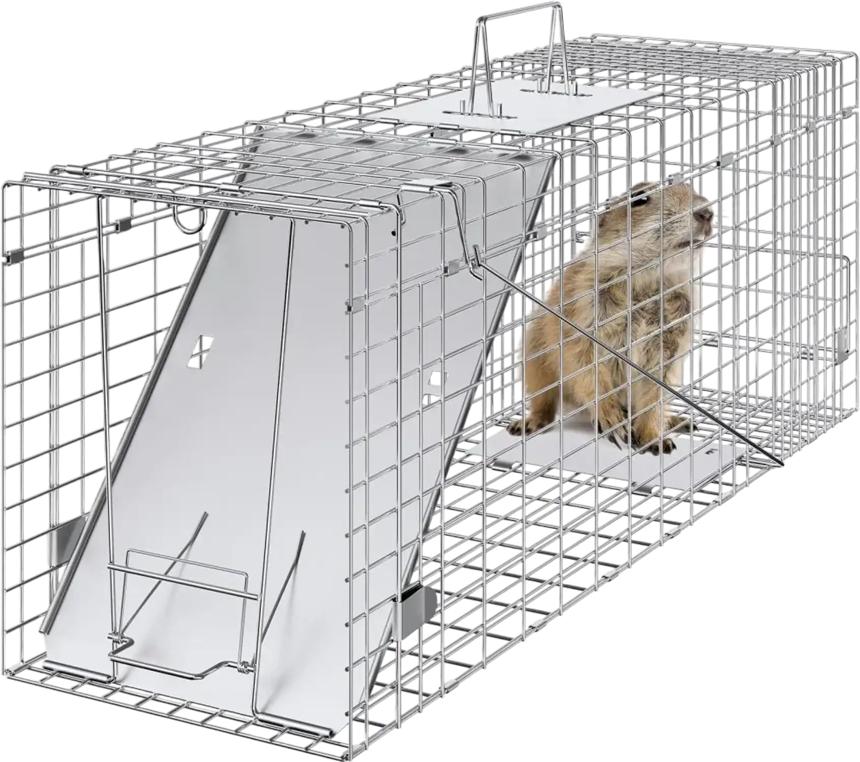 Vevor Animal Trap 31