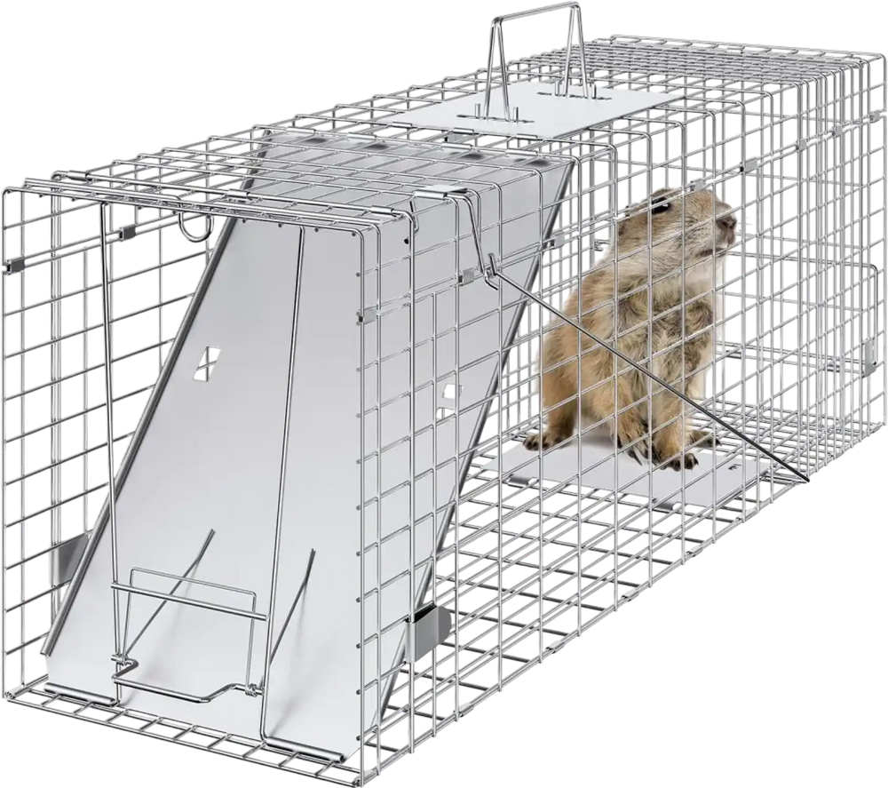 VEVOR Live Animal Cage Trap, 31" x 10" x 12" Humane Cat Trap Galvanized Iron, Folding Animal Trap with Handle for Rabbits, Stray Cats, Squirrels, Raccoons, Groundhogs and Opossums