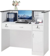 VEVOR Reception Desk, 50 inch Rectangular Front Counter Table, Modern Office Reception Desk with Light Strip, 3 Drawers & Storage Cabinets, Retail Counter Table for Checkout, Lobby, Salon, Office