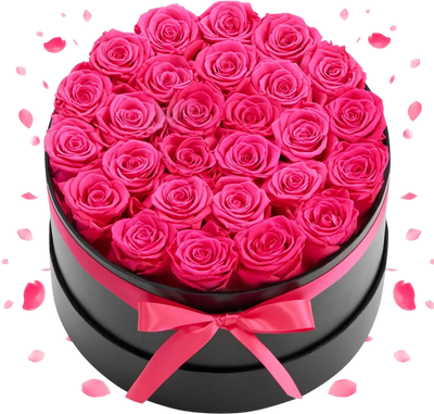 VEVOR Forever Flowers, 27 Preserved Roses in a Box, Eternal Flowers Immortal Bouquet Birthday Present for Delivery Prime Women Her Wife Mothers, Anniversary, Valentine's Day,Christmas, Rose Red