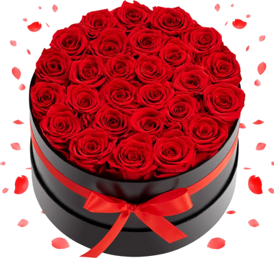 VEVOR Forever Flowers, 27 Preserved Roses in a Box, Eternal Flowers Immortal Bouquet Birthday Present for Delivery Prime Women Her Wife Mothers, Anniversary, Valentine's Day,Christmas, Red