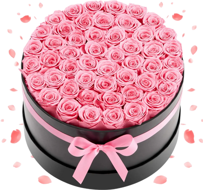 Vevor Preserved Roses 50-Flower Sweet Pink Round Box New
