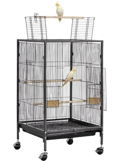 VEVOR Bird Cage, 18 x 18 x 30 inch, Open Flat Top, Wrought Iron Bird Flight Cage with Perches, Slide-Out Tray and Plastic Feeders, Casters, for Parrot, Blue Tit, Cockatiel, Canary, Budgerigar, Conure