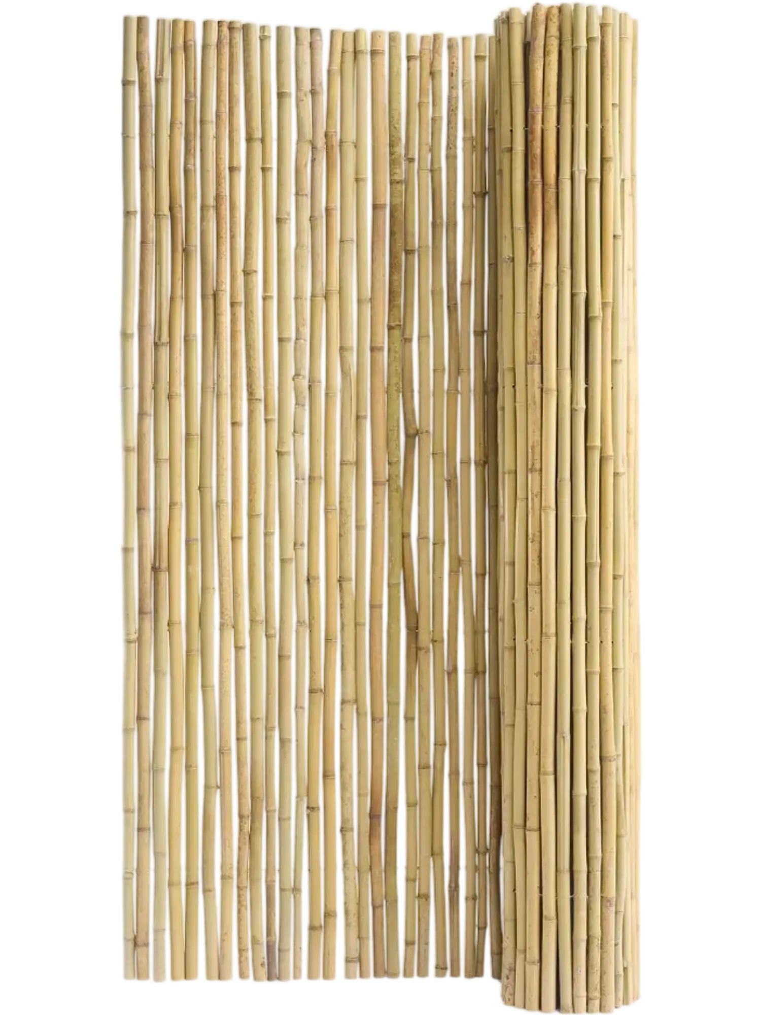 Vevor Bamboo Fence Natural Rolled Privacy Screen 6' x 8' New