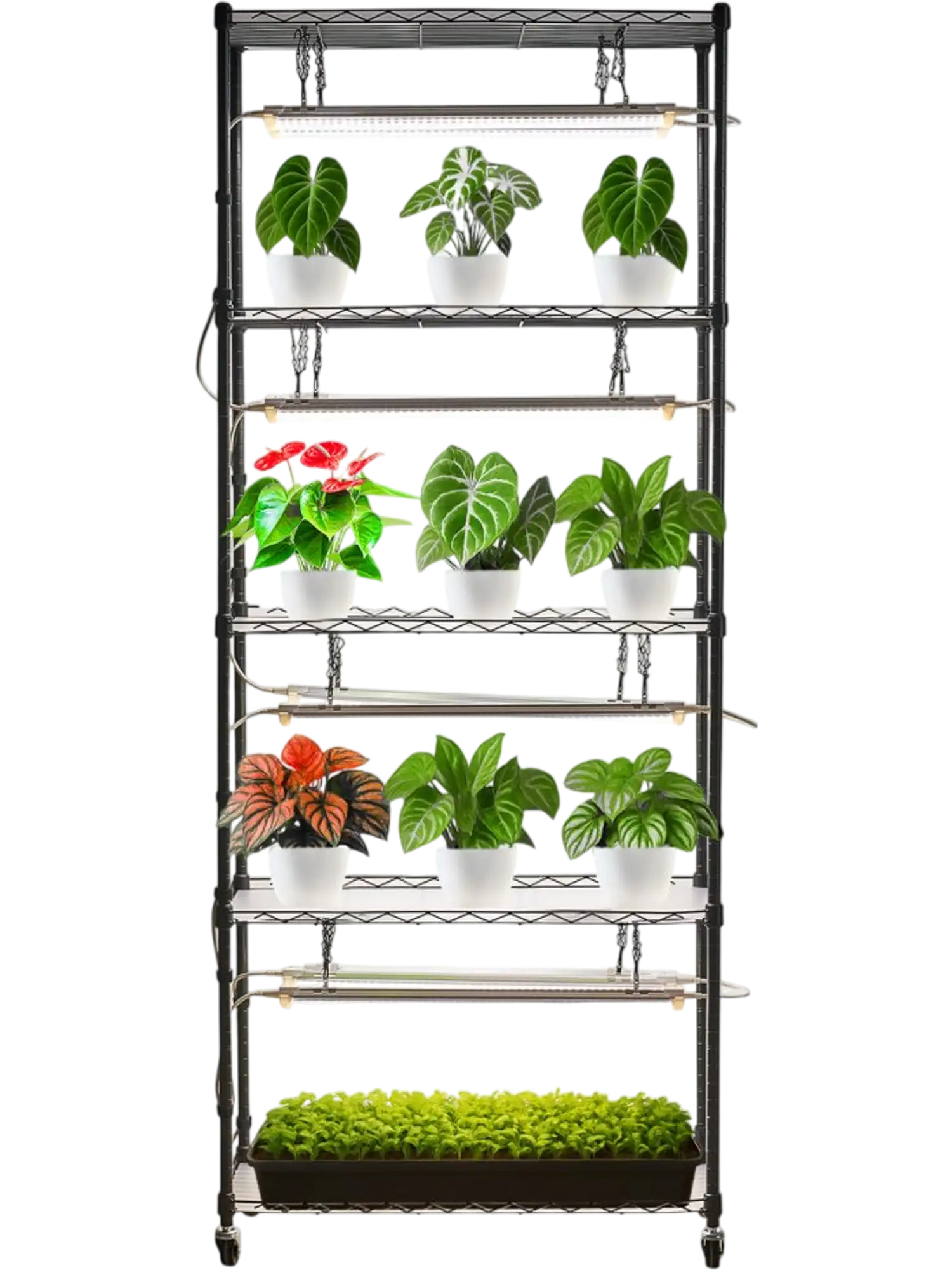 Vevor Plant Stand DIY Indoor Plant Shelf with Grow Lights 71