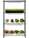 VEVOR Plant Shelf with Grow Light, 4-Tier Indoor Plant Stand, 59in Tall Plants Display Rack with Wheels, 90W 3-Color Full Spectrum Grow Lights, Heavy Duty Metal Flower Pot Holder for Seed Starting