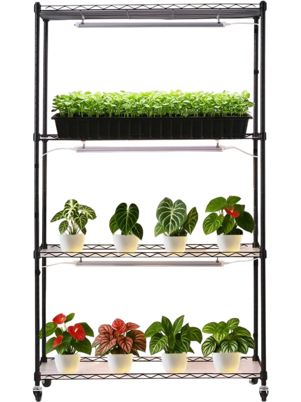 VEVOR Plant Shelf with Grow Light, 4-Tier Indoor Plant Stand, 59in Tall Plants Display Rack with Wheels, 90W 3-Color Full Spectrum Grow Lights, Heavy Duty Metal Flower Pot Holder for Seed Starting