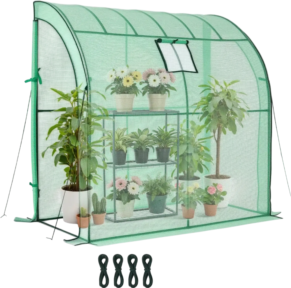 VEVOR Walk-in Green House, 78 x 39.4 x 78.7 in, Greenhouse with Shelves, High Strength PE Cover with Zipper Door and Steel Frame, Assembly in Minutes, Suitable for Planting and Storage