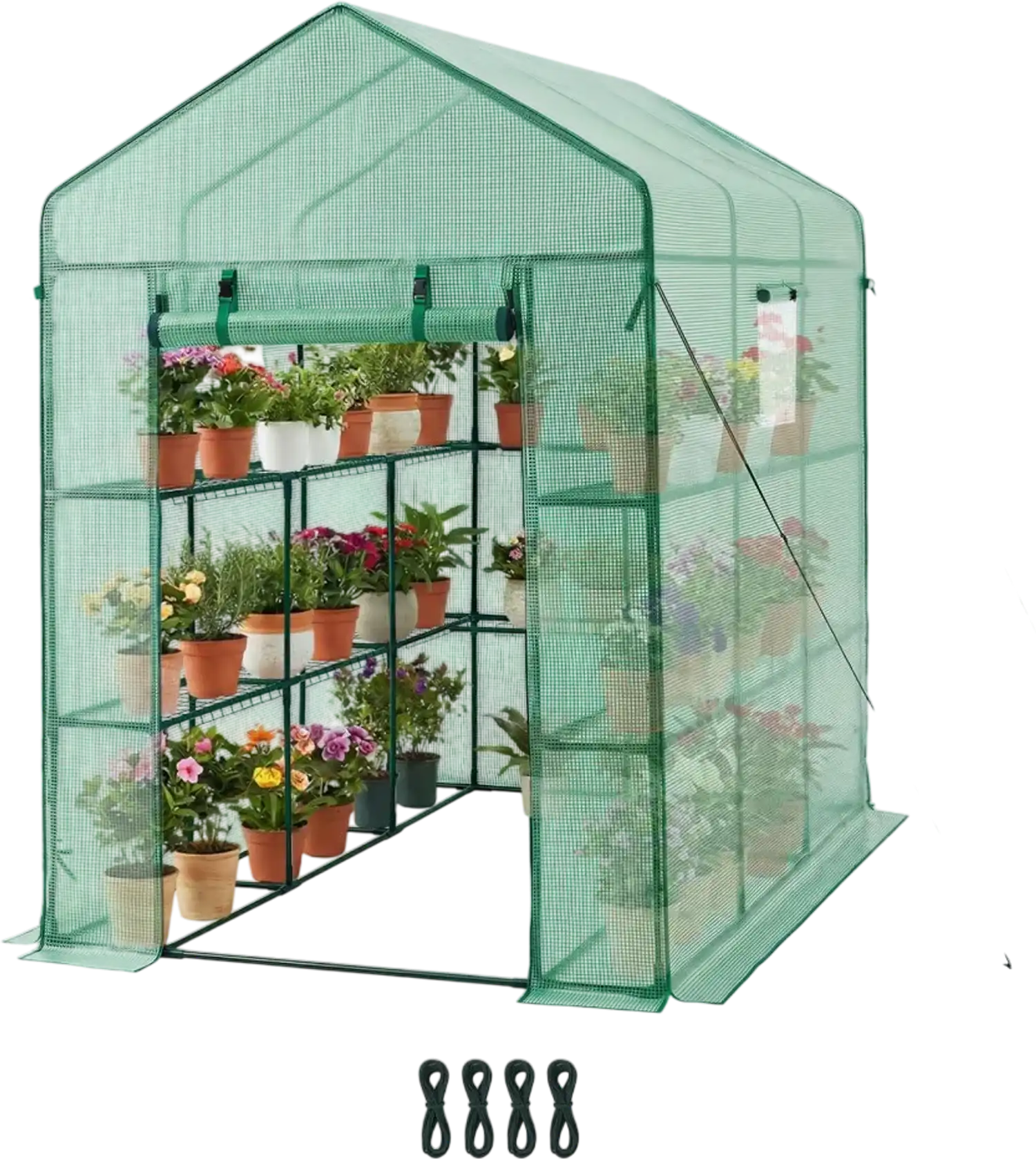 Vevor Greenhouse Walk-In Greenhouse with Shelves 54 x 81.1 x 77.2