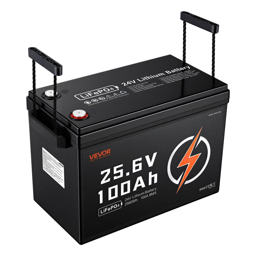 VEVOR 24V 100Ah LiFePO4 Lithium Battery 4000+ Cycles Built-in 100A BMS, Lithium Battery with Low Temperature Protection, Supports 8P2S Connection, 2560Wh Energy, for RV, Trolling Motor, Marine, Solar