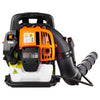 VEVOR Backpack Leaf Blower, 43CC 2-Stroke Engine Gas Powered Leaf Blower with 1.38L Fuel Tank, 447 CFM Air Volume, 150 MPH Air Speed, Ideal for Lawn Care, Leaves Cleaning, Yard Debris & Snow Removal