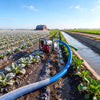 VEVOR 3" Suction Hose Kit 65' Blue PVC Backwash 20' Green Suction Hose, for Swimming Pools Water Pumps, Ready-to-Use Setup, with Round-Hole Strainer, Cam & Groove Adapter, Stainless Steel Clamp