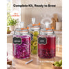 VEVOR 1 Gallon Glass Fermentation Jar, Wide Mouth Container Kit, 2-Pack, for Making Sauerkraut, Kimchi, Pickles and Vegetables, Glass Jars for Beginners with Airlocks, Latch Lids, and Silicone Rings