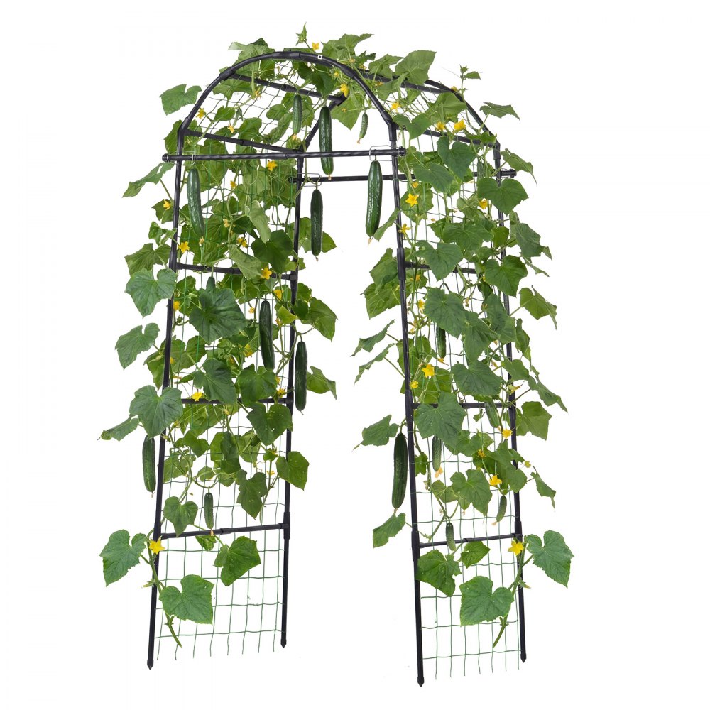 VEVOR Cucumber Trellis, U-Shape Garden Trellises for Raised Bed, Metal Arch Plant Support for Vine, Climbing Plants Outdoor, Peas, Beans, Zucchini, Tomato, Squash, Flower (32.01 x 31.5 x 80.71 in)