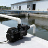 VEVOR Variable Speed Pool Pump, 2 HP, AC 220-240V, 145 GPM, In/Above Swimming Pool Pump with Filter Basket, Powerful Self Priming, Programmable Timer, for Inground and Above Ground Swimming Pool
