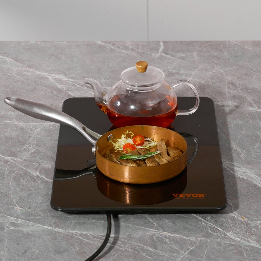 VEVOR Electric Warming Tray, 16.5" x 11" Portable Tempered Glass Heating Tray with Temperature Range (65-90℃), Perfect for Dinner, Catering, House, Parties, Events, Entertaining and Holiday, Black