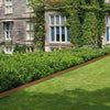 VEVOR Steel Landscape Edging, 10-pack Steel Garden Edging Borders, 39.6" L x 2" H Strips, Hammer-in Edging Border, Bendable Metal Landscape Edging for Yard, Garden, 2.5" Spike Height, Rustic Brown