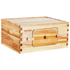 VEVOR Bee Hive Deep Box Starter Kit, 100% Beeswax Coated Natural Fir Wood, Langstroth Beehive Kit with 10 Frames and Foundations, Transparent Acrylic Bee Windows for Beginners and Pro Beekeepers