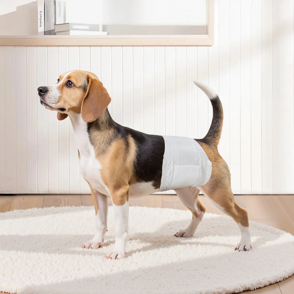 VEVOR Disposable Male Dog Diapers, Super Absorbent Male Dog Wraps, 360 ° Leak-Proof Belly Bands with Wetness Indicator for Doggies in Heat, Training, Incontinence - S, 144 Count (2 Packs of 72)