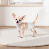VEVOR Disposable Male Dog Diapers, Super Absorbent Male Dog Wraps, 360 ° Leak-Proof Belly Bands with Wetness Indicator for Doggies in Heat, Training, Incontinence - XS, 144 Count (2 Packs of 72)