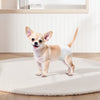 VEVOR Disposable Dog Diapers, Super Absorbent Female Dog Diapers, 360° Leak-Proof Female Doggy Pet Diaper with Wetness Indicator for Heat Period, Training, Incontinence - XS, 144 Count (2 Packs of 72)