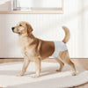VEVOR Disposable Dog Diapers, Super Absorbent Female Dog Diapers, 360° Leak-Proof Female Doggy Pet Diaper with Wetness Indicator for Heat Period, Training, Incontinence - M, 96 Count (2 Packs of 48)