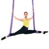 VEVOR Aerial Yoga Hammock & Swing, 4.4 Yards, Yoga Starter Kit with 100gsm Nylon Fabric, Full Rigging Hardware and Easy Set-up Guide, Antigravity Flying for All Levels Fitness Bodybuilding, Purple