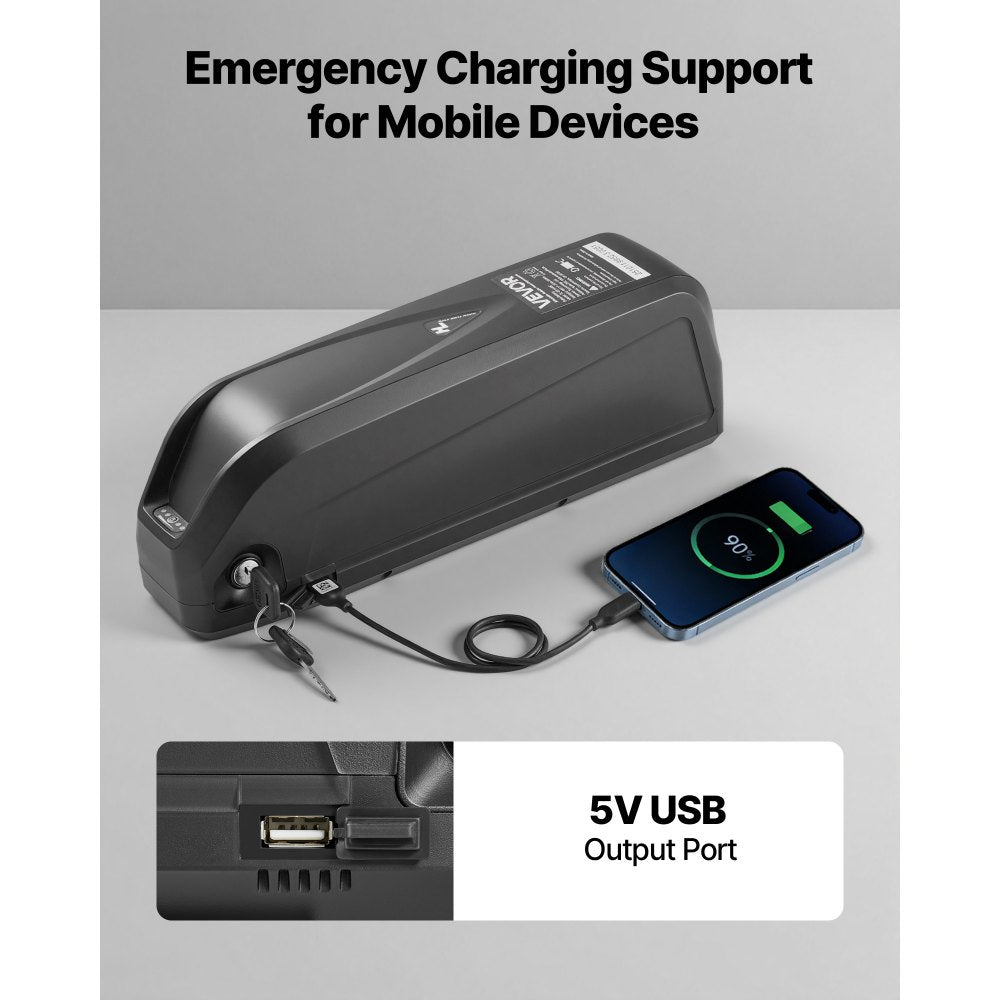 VEVOR Ebike Battery, 48V 20Ah Electric Bike Lithium Battery Pack with BMS, USB Charge Port, 3A Charger & Lock for 1500W E-Bike Motor, Detachable Electric Bicycle Replacement Kit with Discharge Socket